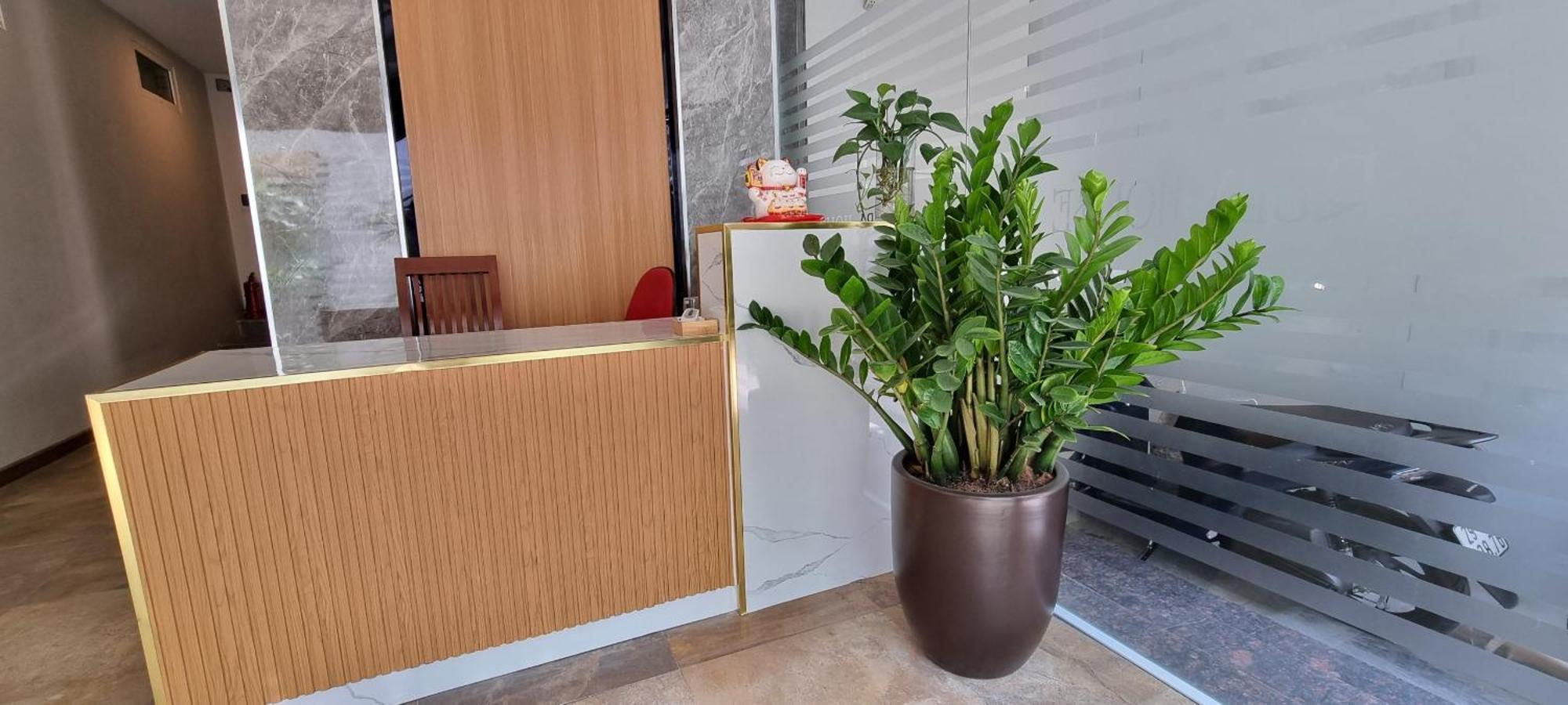 Khách sạn hẻo lánh Ruby Serviced Phan Ke Binh Hà Nội